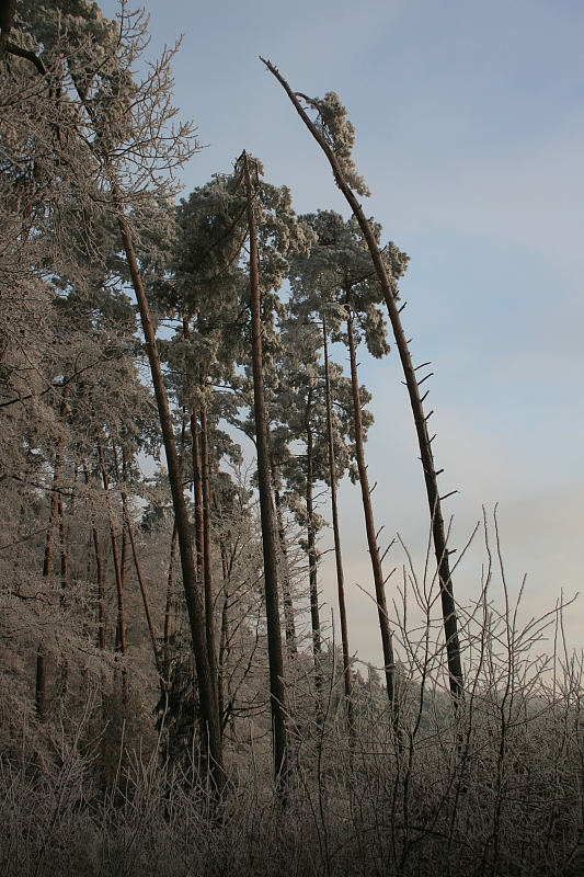 Winterlandschaft Winterlandschaften Romantisch